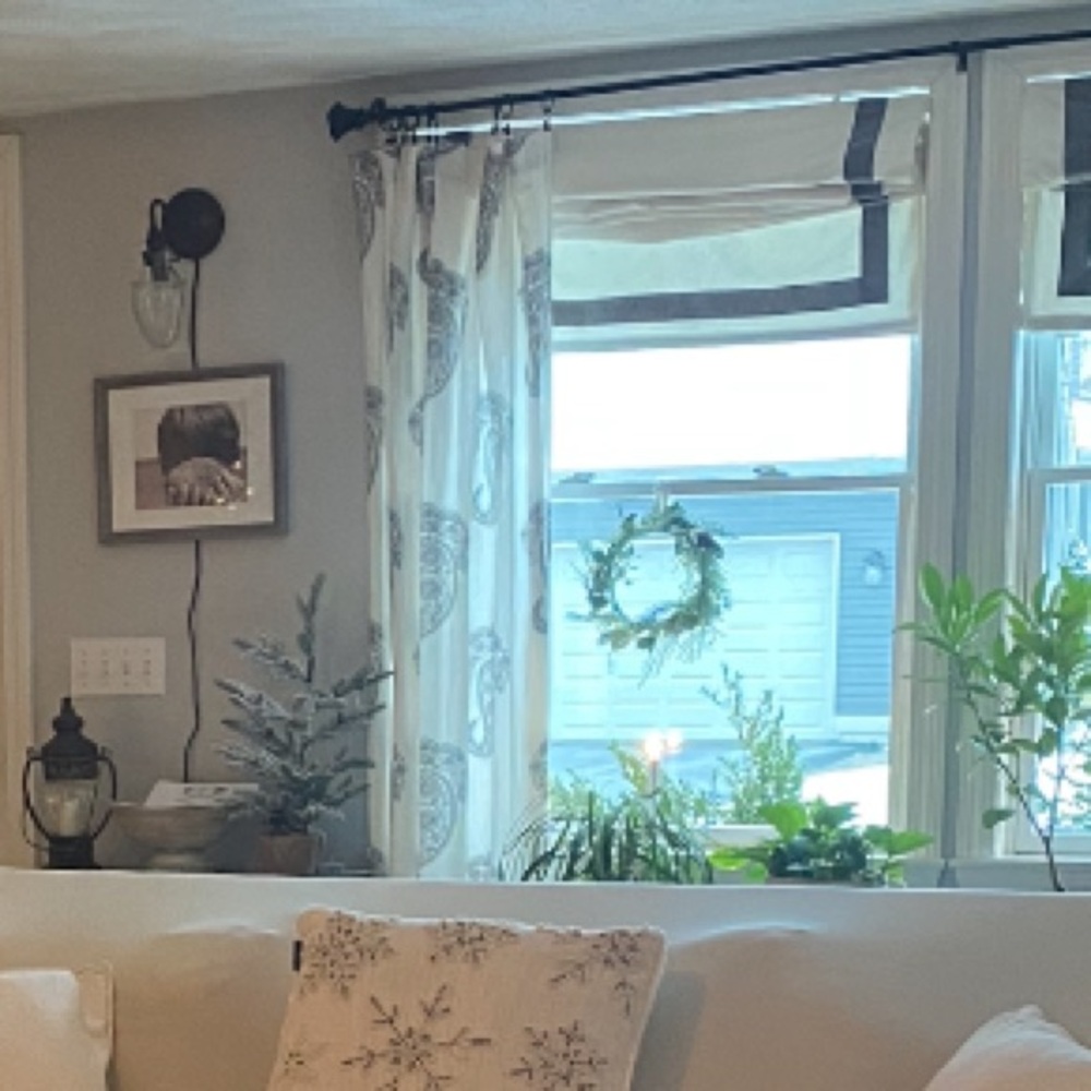 Pottery Barn Rayna Paisley Drapes